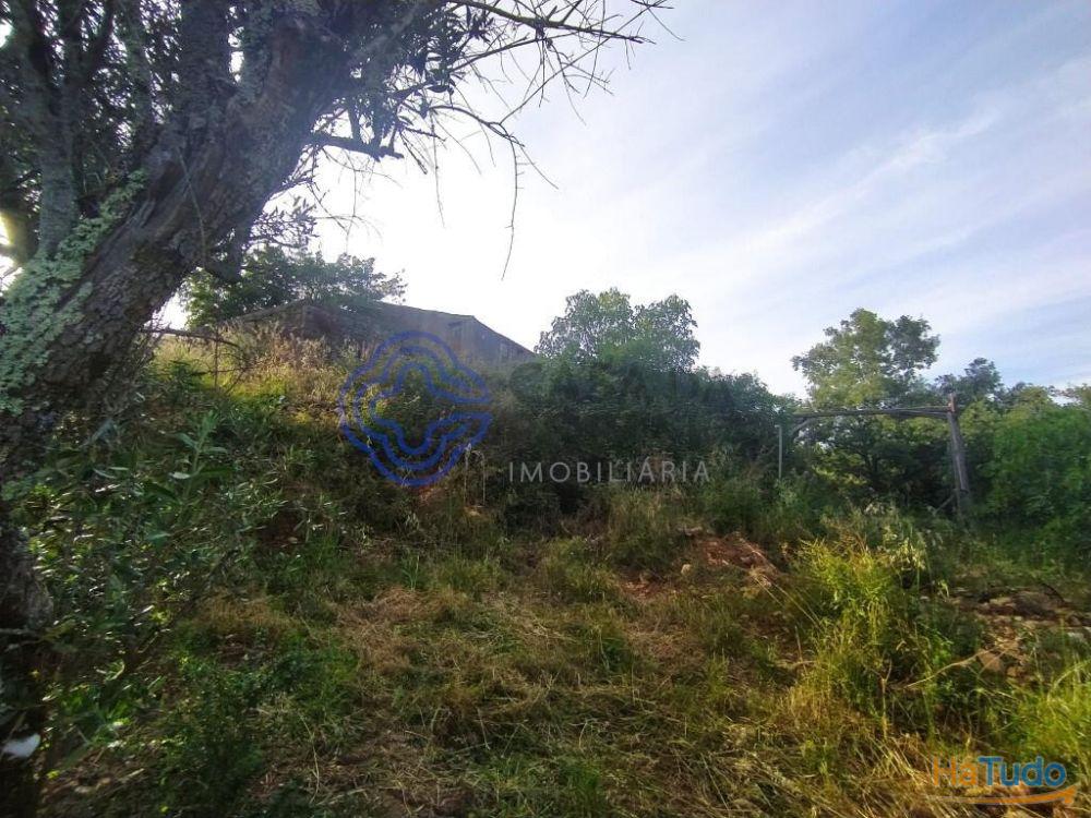 Casa de habitação em ruínas perto de Tomar no centro de Portugal Casa de habitação em ruínas perto de Tomar no centro de Portugal