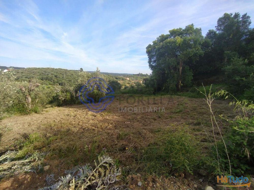Casa de habitação em ruínas perto de Tomar no centro de Portugal Casa de habitação em ruínas perto de Tomar no centro de Portugal