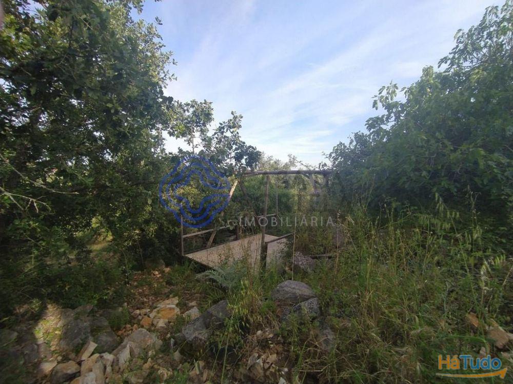 Casa de habitação em ruínas perto de Tomar no centro de Portugal Casa de habitação em ruínas perto de Tomar no centro de Portugal