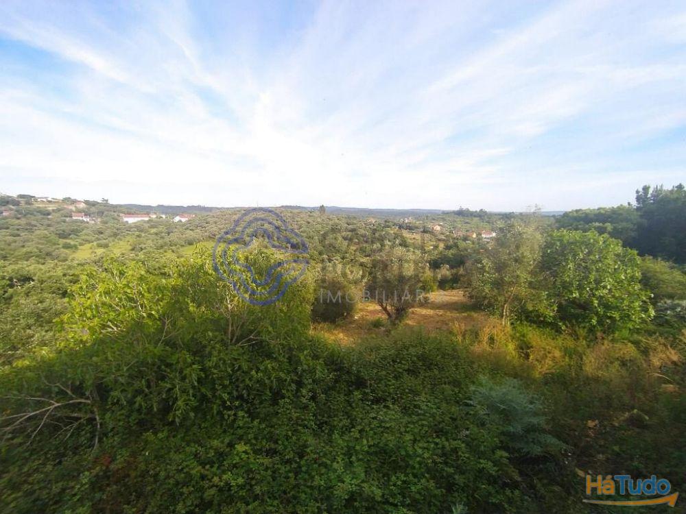 Casa de habitação em ruínas perto de Tomar no centro de Portugal Casa de habitação em ruínas perto de Tomar no centro de Portugal