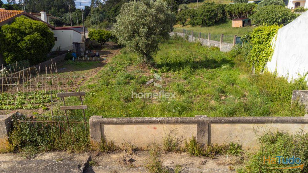 Terreno em Lares Terreno em Lares