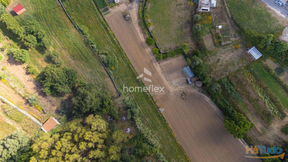 Terreno em Lares Terreno em Lares