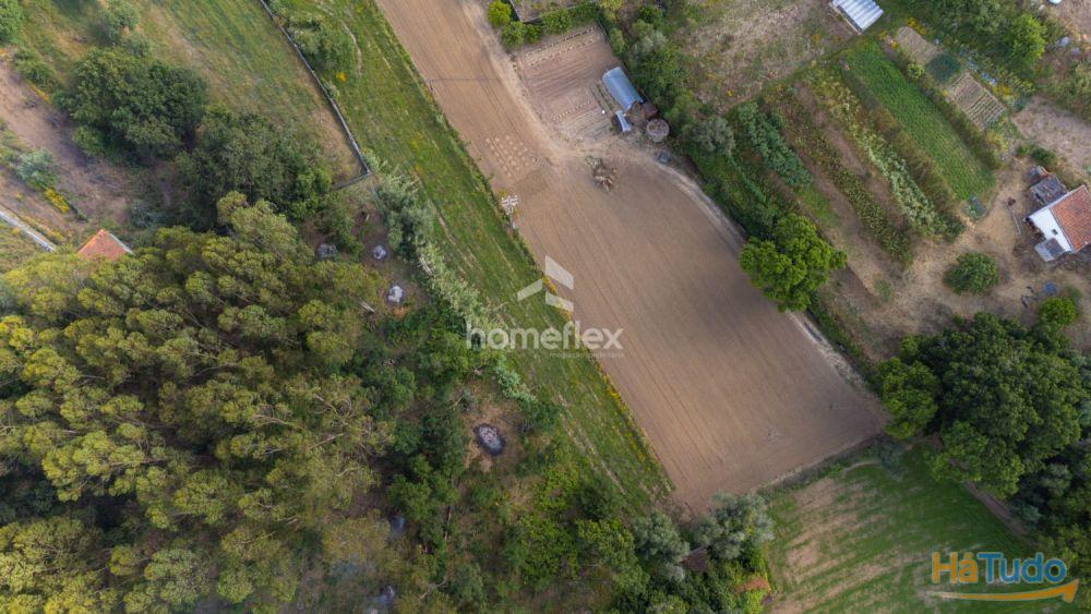 Terreno em Lares Terreno em Lares