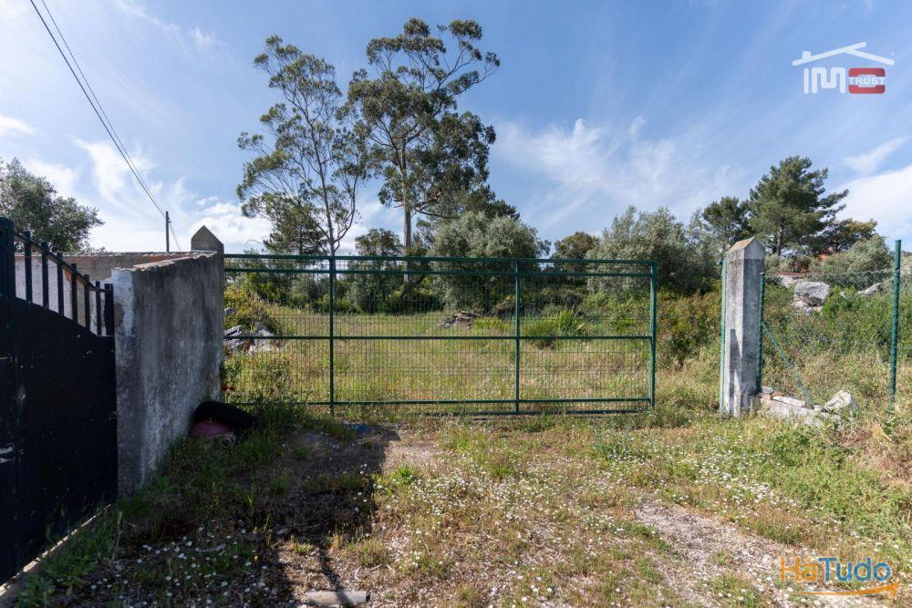 Terreno para construção no centro de Mira de Aire com 5.567 m2 Terreno para construção no centro de Mira de Aire com 5.567 m2
