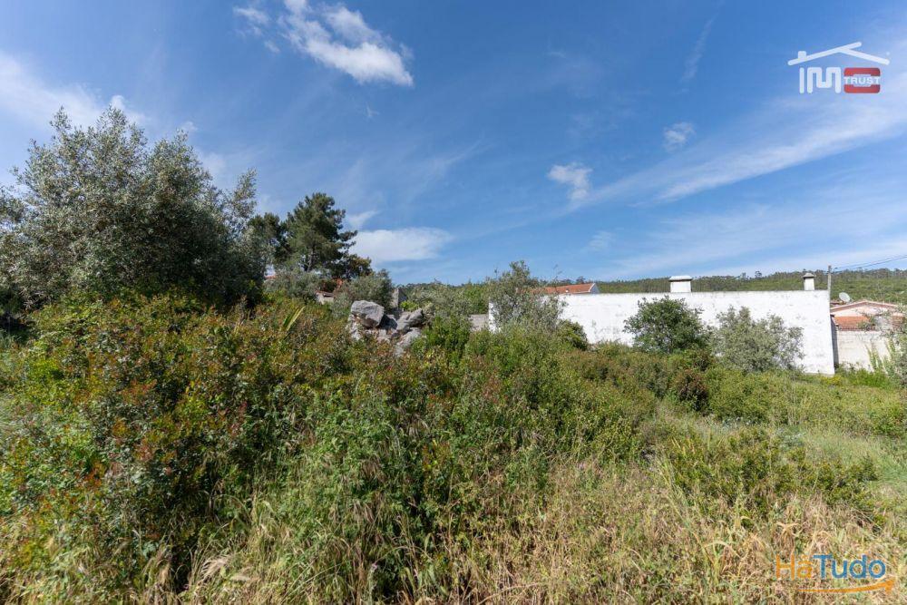 Terreno para construção no centro de Mira de Aire com 5.567 m2 Terreno para construção no centro de Mira de Aire com 5.567 m2