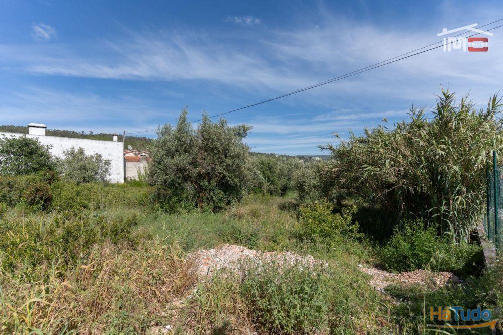 Terreno para construção no centro de Mira de Aire com 5.567 m2 Terreno para construção no centro de Mira de Aire com 5.567 m2