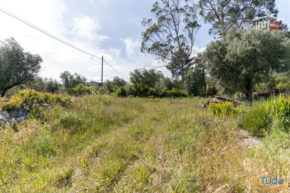 Terreno para construção no centro de Mira de Aire com 5.567 m2 Terreno para construção no centro de Mira de Aire com 5.567 m2