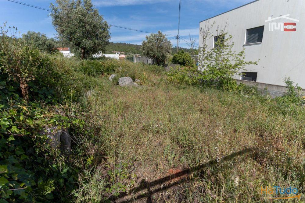 Terreno para construção no centro de Mira de Aire com 5.567 m2 Terreno para construção no centro de Mira de Aire com 5.567 m2