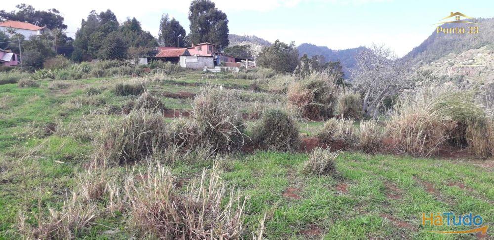Terreno urbano, com quinze mil metros quadrados.