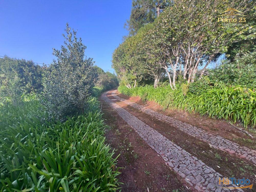 Bela propriedade para venda -Santo da serra ,ilha da madeira.