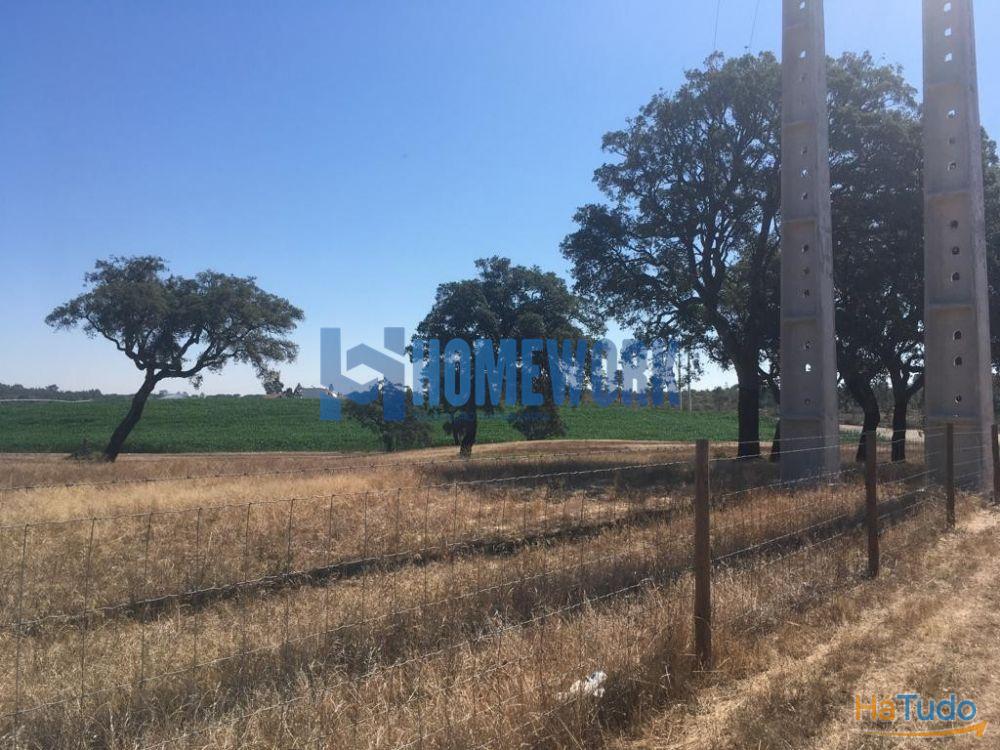 Terreno em Pinhal das Formas - Palmela