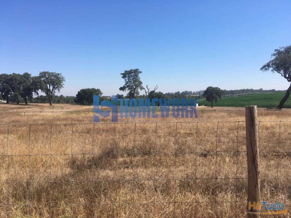 Terreno em Pinhal das Formas - Palmela