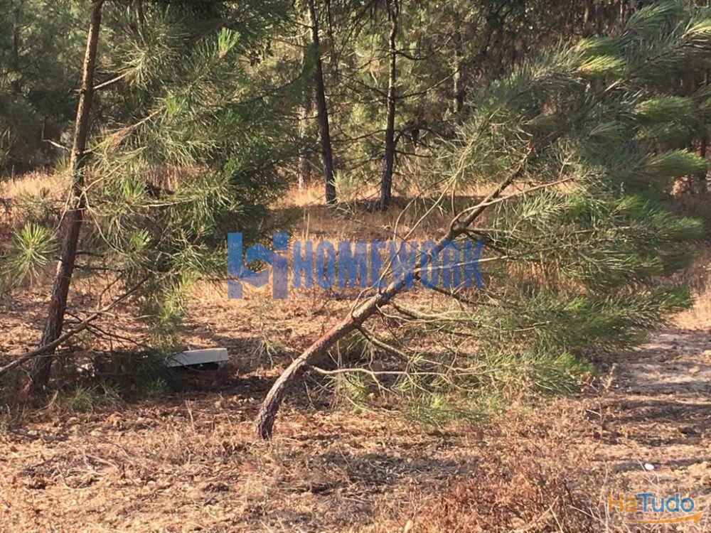 Terreno em Pinhal das Formas - Palmela
