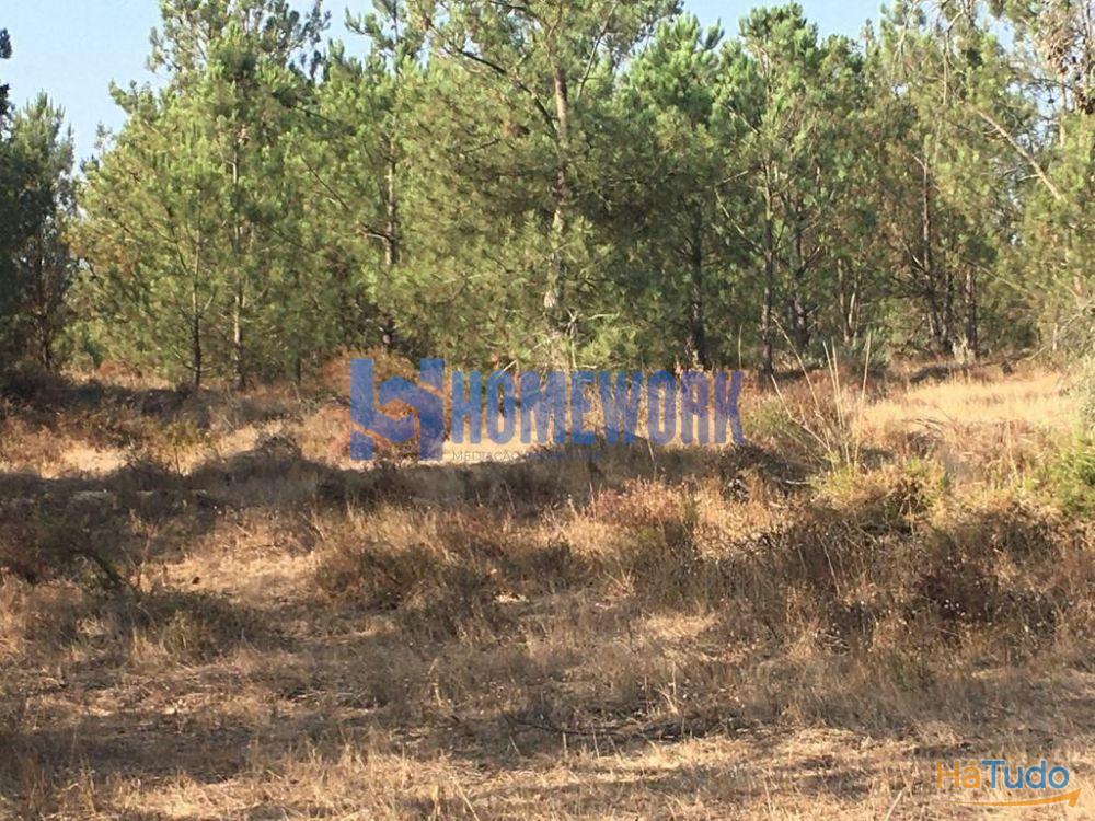 Terreno em Pinhal das Formas - Palmela