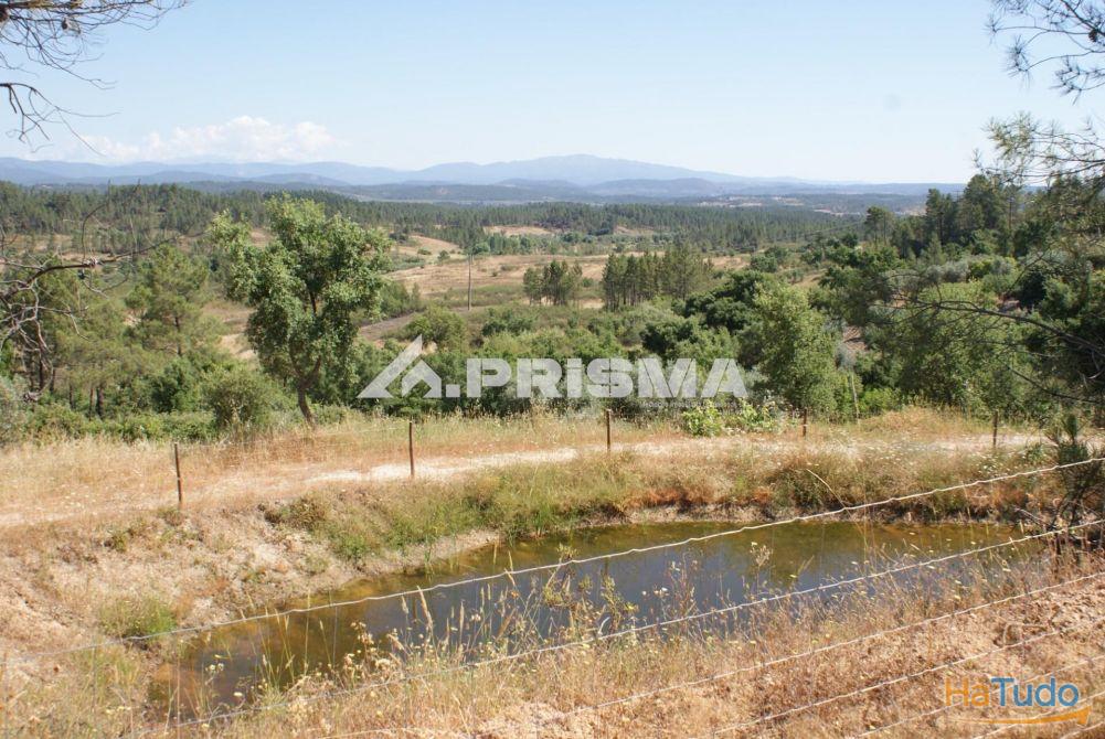 Excelente terreno agr�cola para venda em Cabe�o do Infante, Sarzedas