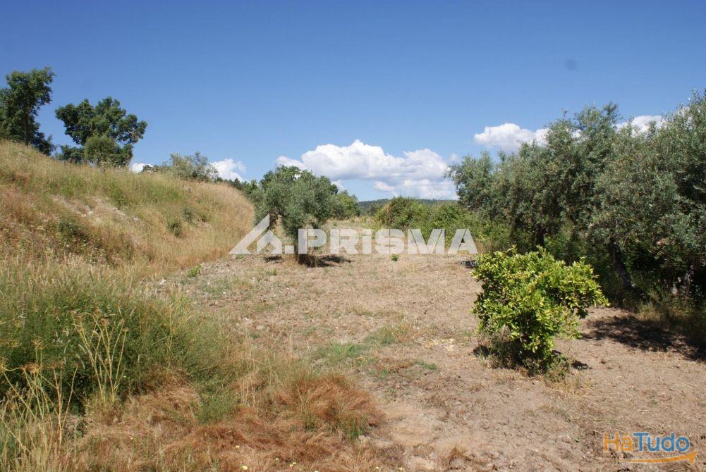 Excelente terreno agr�cola para venda em Cabe�o do Infante, Sarzedas