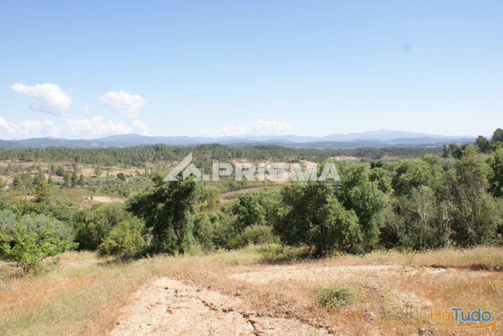 Excelente terreno agr�cola para venda em Cabe�o do Infante, Sarzedas