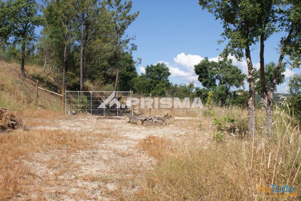 Excelente terreno agr�cola para venda em Cabe�o do Infante, Sarzedas