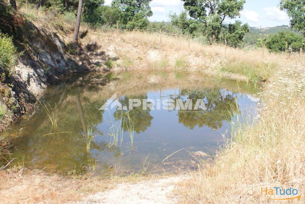 Excelente terreno agr�cola para venda em Cabe�o do Infante, Sarzedas