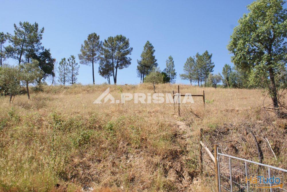 Excelente terreno agr�cola para venda em Cabe�o do Infante, Sarzedas
