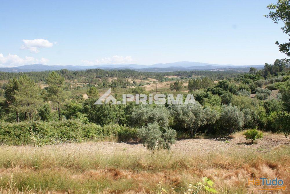 Excelente terreno agr�cola para venda em Cabe�o do Infante, Sarzedas