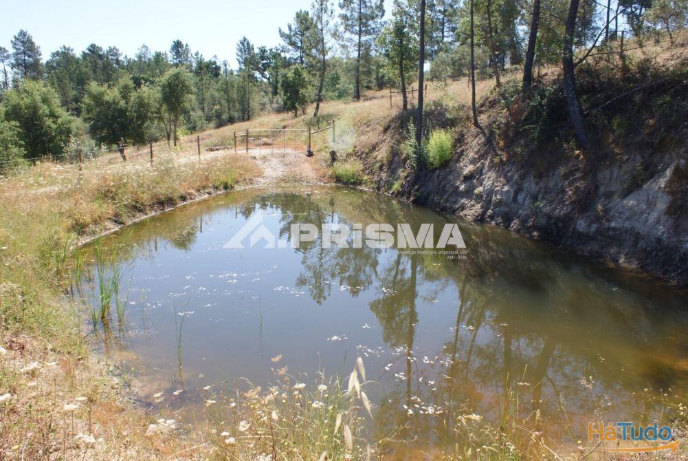 Excelente terreno agr�cola para venda em Cabe�o do Infante, Sarzedas