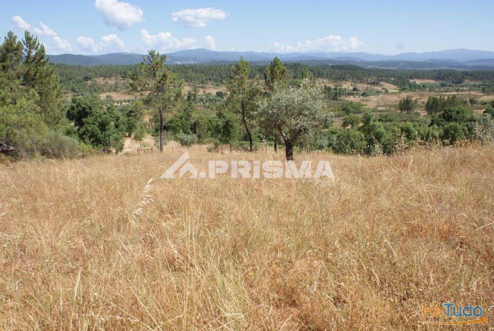 Excelente terreno agr�cola para venda em Cabe�o do Infante, Sarzedas