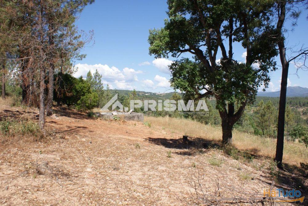 Excelente terreno agr�cola para venda em Cabe�o do Infante, Sarzedas