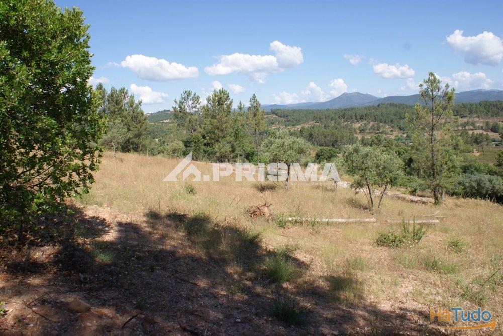 Excelente terreno agr�cola para venda em Cabe�o do Infante, Sarzedas