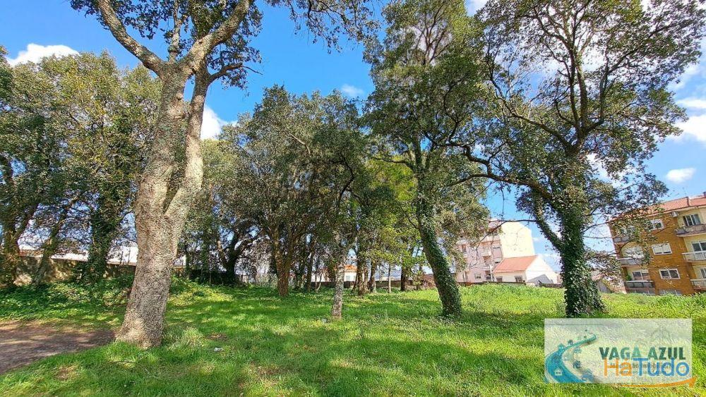 Terreno em zona ARU com 2.200 m2 ao Centro Escolar da Boavista/Lourinha - Rio Tinto Terreno em zona ARU com 2.200 m2 ao Centro Escolar da Boavista/Lourinha - Rio Tinto