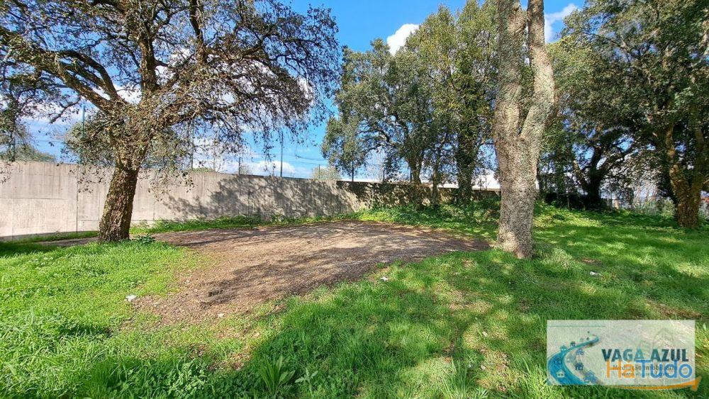 Terreno em zona ARU com 2.200 m2 ao Centro Escolar da Boavista/Lourinha - Rio Tinto Terreno em zona ARU com 2.200 m2 ao Centro Escolar da Boavista/Lourinha - Rio Tinto