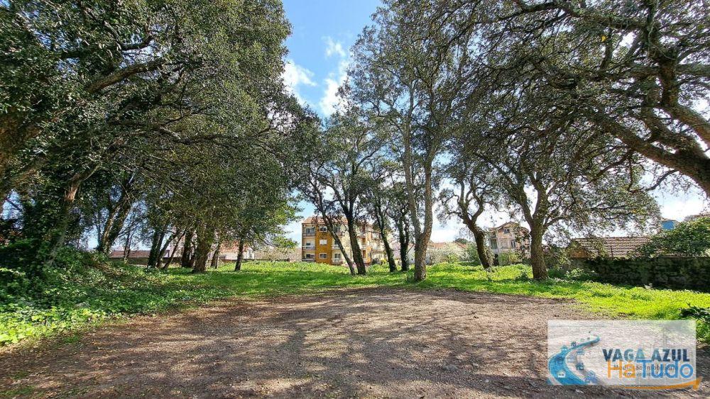 Terreno em zona ARU com 2.200 m2 ao Centro Escolar da Boavista/Lourinha - Rio Tinto Terreno em zona ARU com 2.200 m2 ao Centro Escolar da Boavista/Lourinha - Rio Tinto
