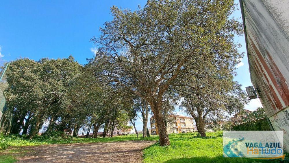 Terreno em zona ARU com 2.200 m2 ao Centro Escolar da Boavista/Lourinha - Rio Tinto Terreno em zona ARU com 2.200 m2 ao Centro Escolar da Boavista/Lourinha - Rio Tinto