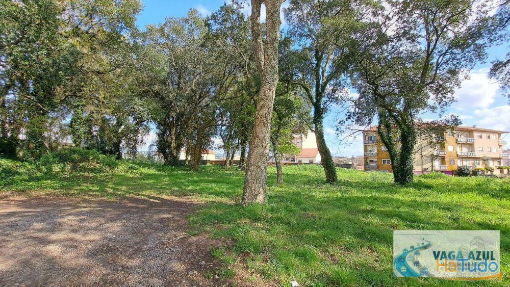 Terreno em zona ARU com 2.200 m2 ao Centro Escolar da Boavista/Lourinha - Rio Tinto Terreno em zona ARU com 2.200 m2 ao Centro Escolar da Boavista/Lourinha - Rio Tinto
