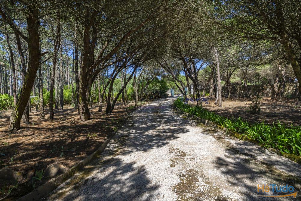 Propriedade Única na Azóia (Colares) . Uma Jóia à beira-mar Propriedade Única na Azóia (Colares) . Uma Jóia à beira-mar