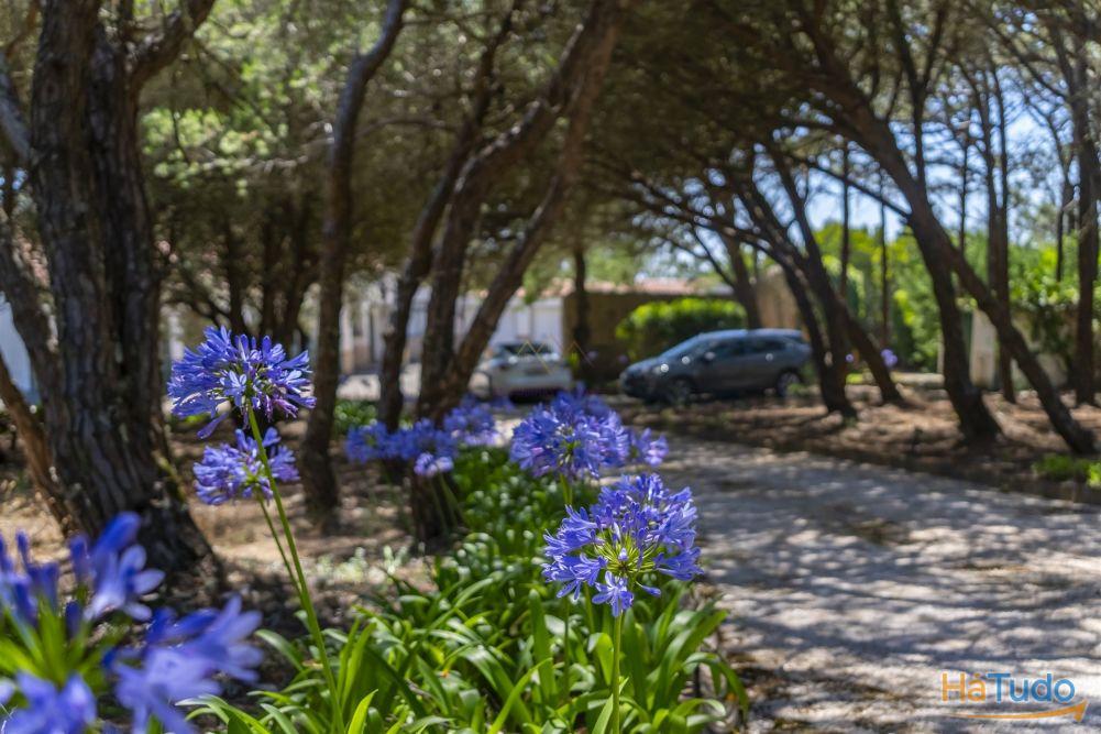 Propriedade Única na Azóia (Colares) . Uma Jóia à beira-mar Propriedade Única na Azóia (Colares) . Uma Jóia à beira-mar