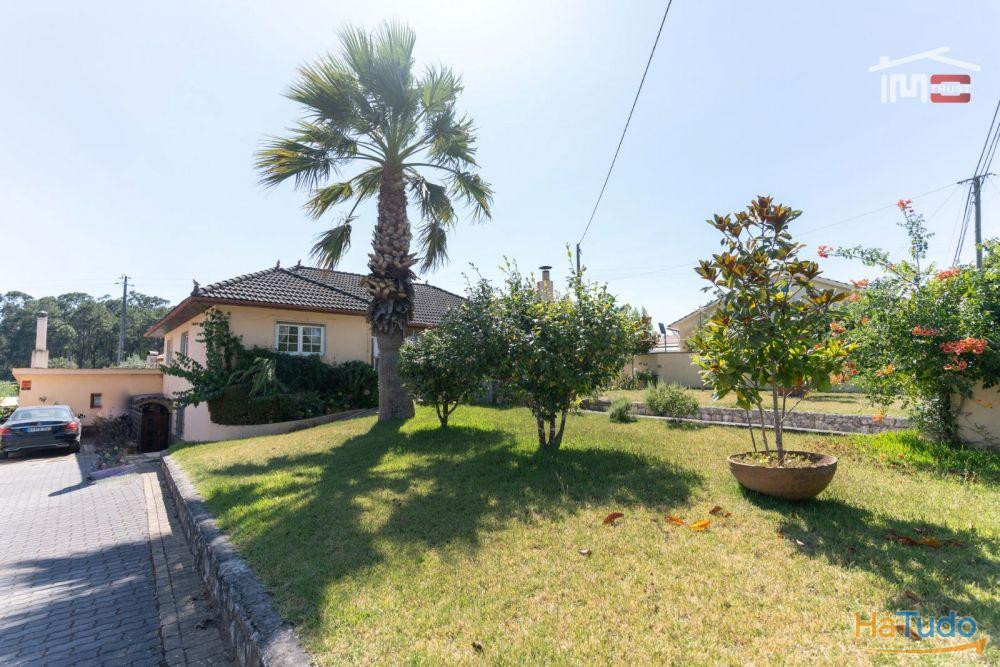 MORADIA T3 COM RES DO CHÃO E CAVE EM MOITA DO MARTINHO SÃO MAMEDE MORADIA T3 COM RES DO CHÃO E CAVE EM MOITA DO MARTINHO SÃO MAMEDE