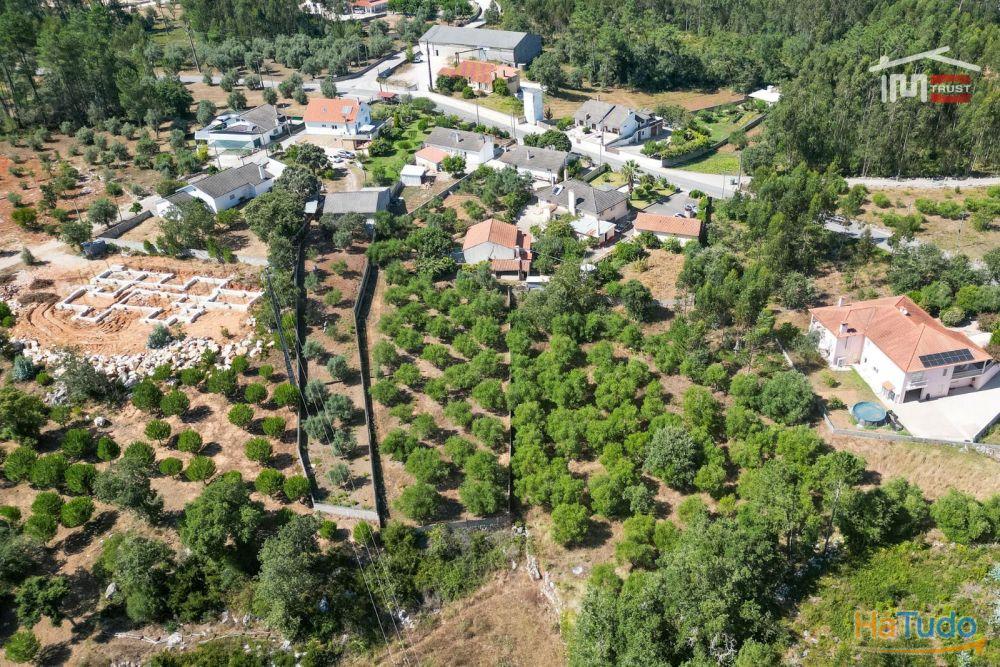 MORADIA T3 COM RES DO CHÃO E CAVE EM MOITA DO MARTINHO SÃO MAMEDE MORADIA T3 COM RES DO CHÃO E CAVE EM MOITA DO MARTINHO SÃO MAMEDE