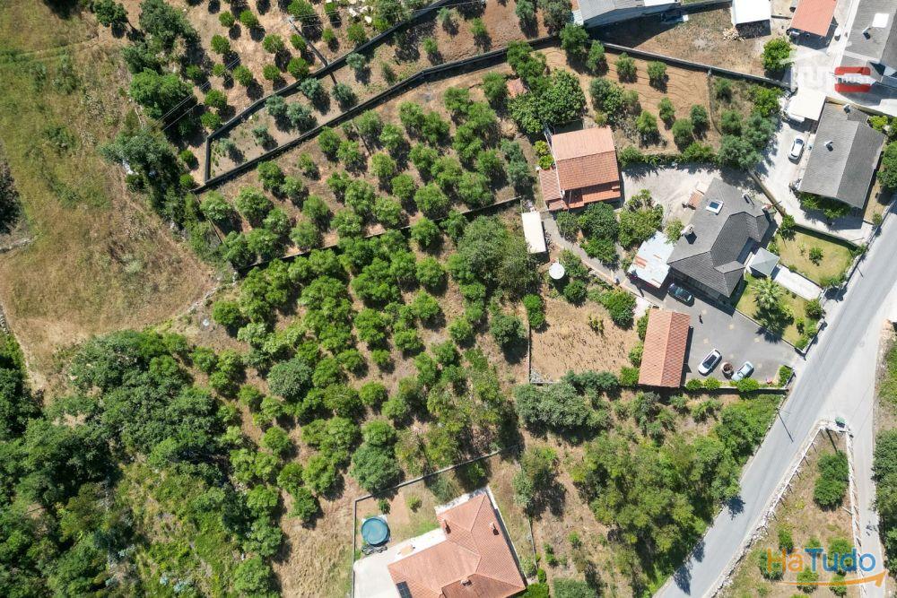 MORADIA T3 COM RES DO CHÃO E CAVE EM MOITA DO MARTINHO SÃO MAMEDE MORADIA T3 COM RES DO CHÃO E CAVE EM MOITA DO MARTINHO SÃO MAMEDE