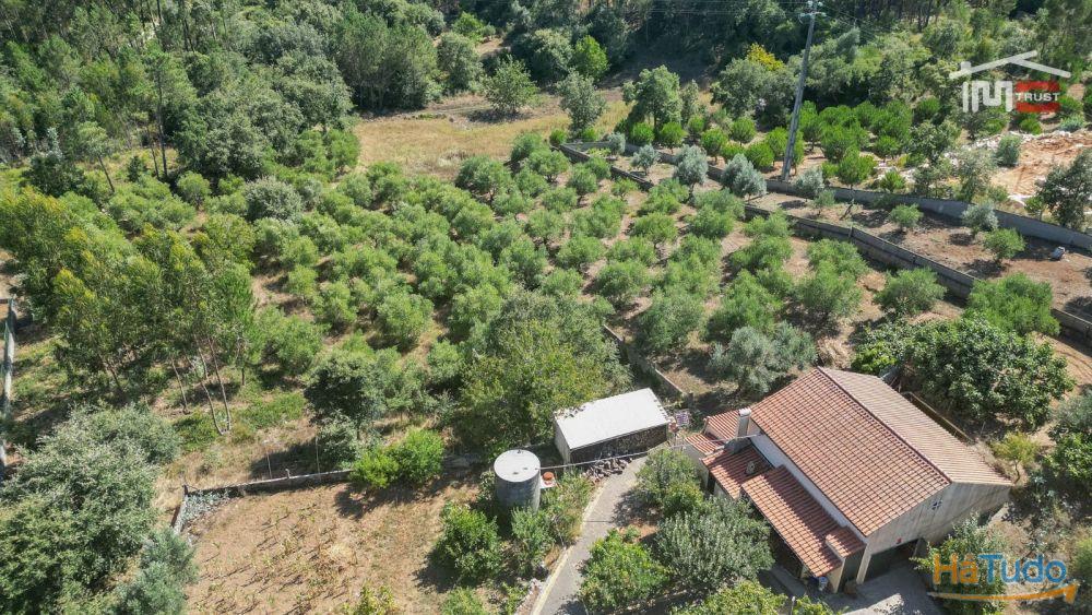 MORADIA T3 COM RES DO CHÃO E CAVE EM MOITA DO MARTINHO SÃO MAMEDE MORADIA T3 COM RES DO CHÃO E CAVE EM MOITA DO MARTINHO SÃO MAMEDE