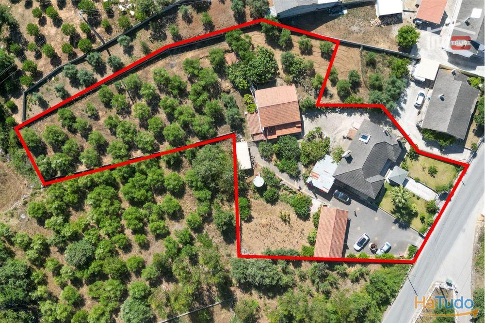 MORADIA T3 COM RES DO CHÃO E CAVE EM MOITA DO MARTINHO SÃO MAMEDE MORADIA T3 COM RES DO CHÃO E CAVE EM MOITA DO MARTINHO SÃO MAMEDE