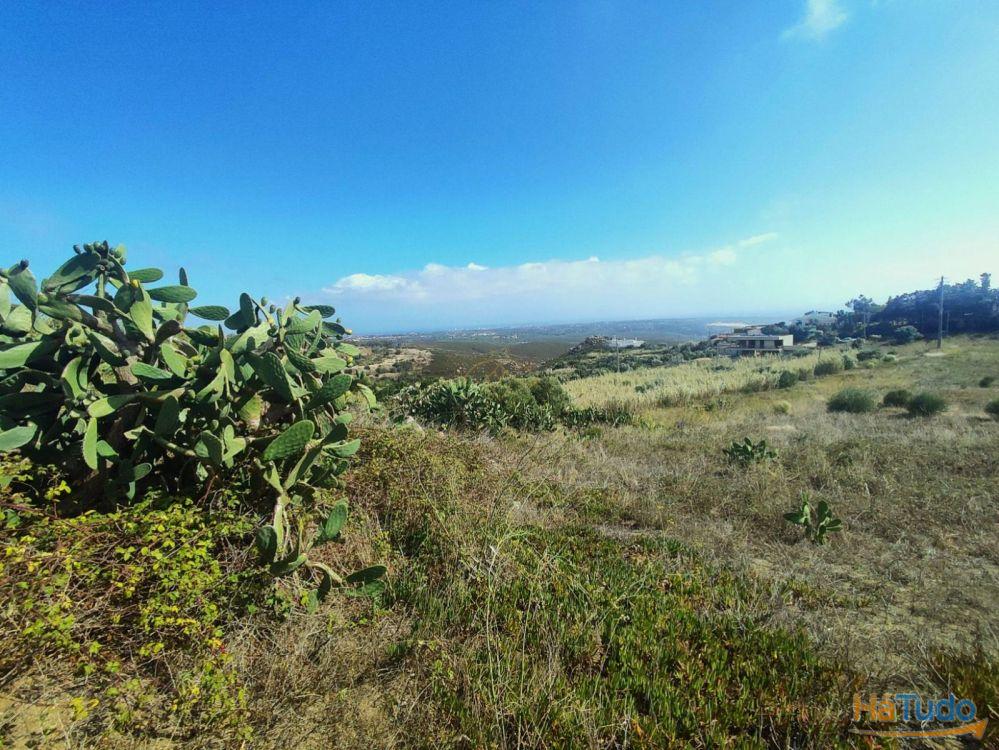 Terreno rústico com 4800 m2 para venda na Figueira do Guincho Terreno rústico com 4800 m2 para venda na Figueira do Guincho