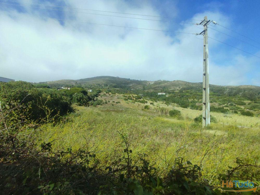 Terreno rústico com 4800 m2 para venda na Figueira do Guincho Terreno rústico com 4800 m2 para venda na Figueira do Guincho