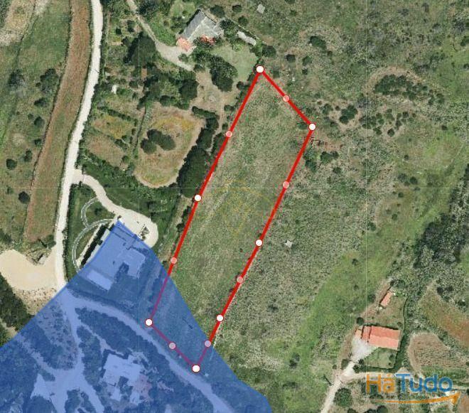 Terreno rústico com 4800 m2 para venda na Figueira do Guincho Terreno rústico com 4800 m2 para venda na Figueira do Guincho