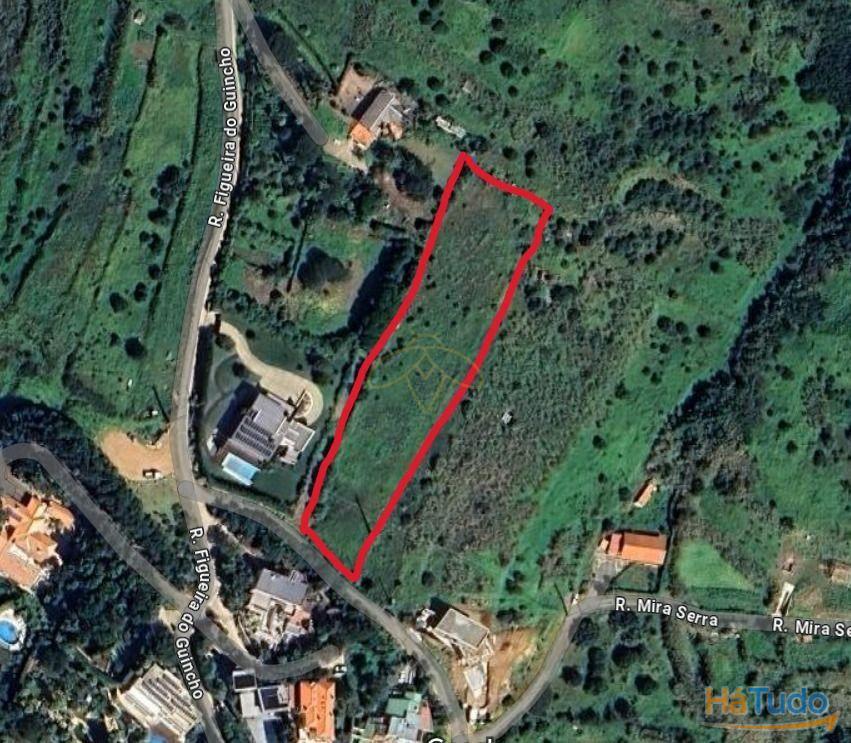 Terreno rústico com 4800 m2 para venda na Figueira do Guincho Terreno rústico com 4800 m2 para venda na Figueira do Guincho