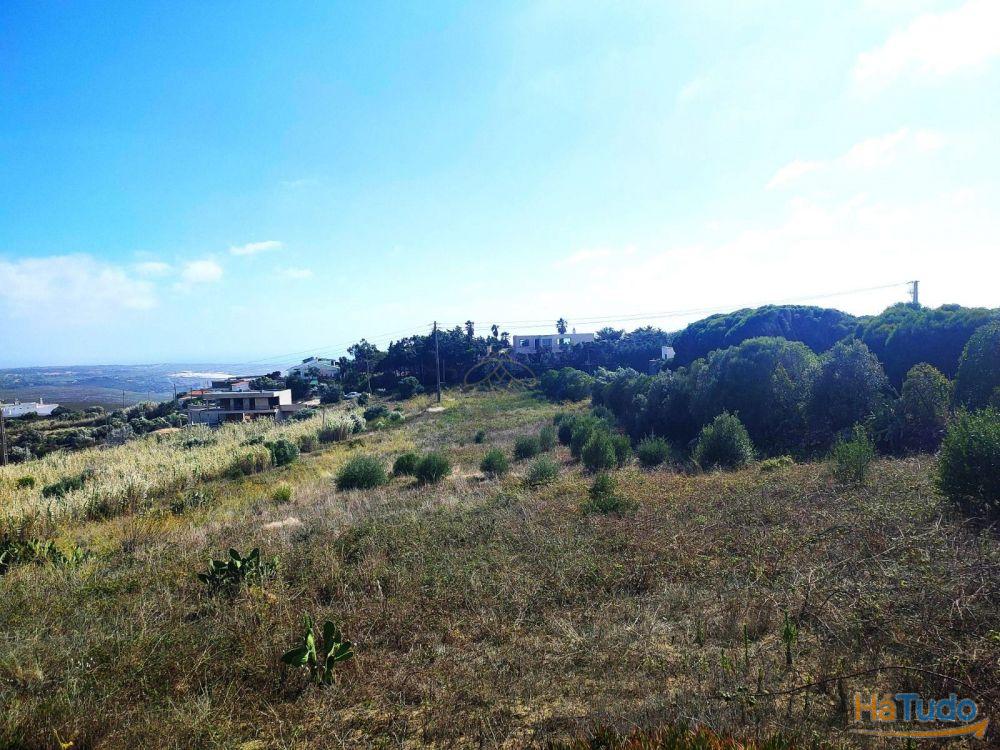 Terreno rústico com 4800 m2 para venda na Figueira do Guincho Terreno rústico com 4800 m2 para venda na Figueira do Guincho