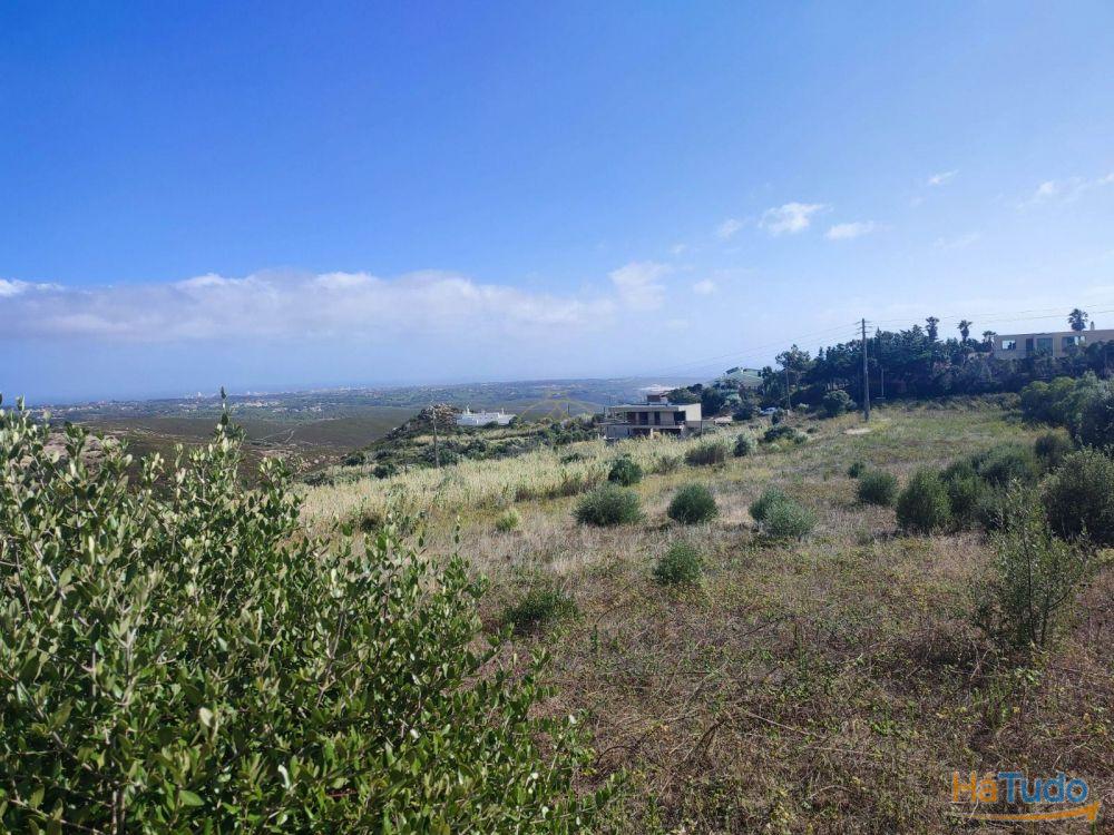 Terreno rústico com 4800 m2 para venda na Figueira do Guincho Terreno rústico com 4800 m2 para venda na Figueira do Guincho
