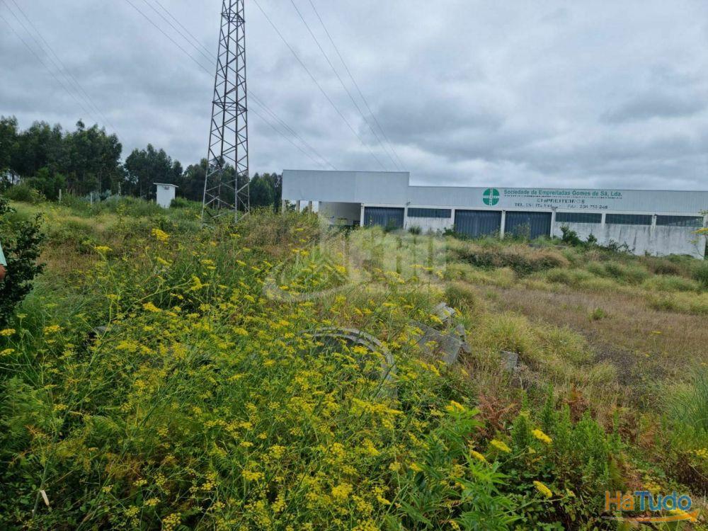 TERRENO URBANO PARA CONSTRUÇÃO DE 13 MORADIAS EM ESMORIZ TERRENO URBANO PARA CONSTRUÇÃO DE 13 MORADIAS EM ESMORIZ