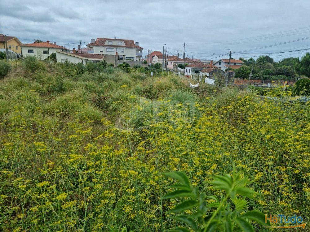 TERRENO URBANO PARA CONSTRUÇÃO DE 13 MORADIAS EM ESMORIZ TERRENO URBANO PARA CONSTRUÇÃO DE 13 MORADIAS EM ESMORIZ