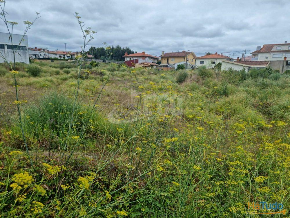 TERRENO URBANO PARA CONSTRUÇÃO DE 13 MORADIAS EM ESMORIZ TERRENO URBANO PARA CONSTRUÇÃO DE 13 MORADIAS EM ESMORIZ